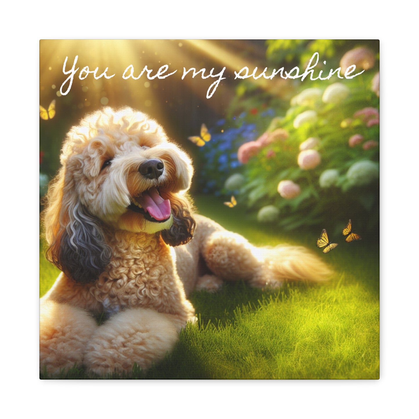 Canvas Print Groodle Dog 'You Are My Sunshine'