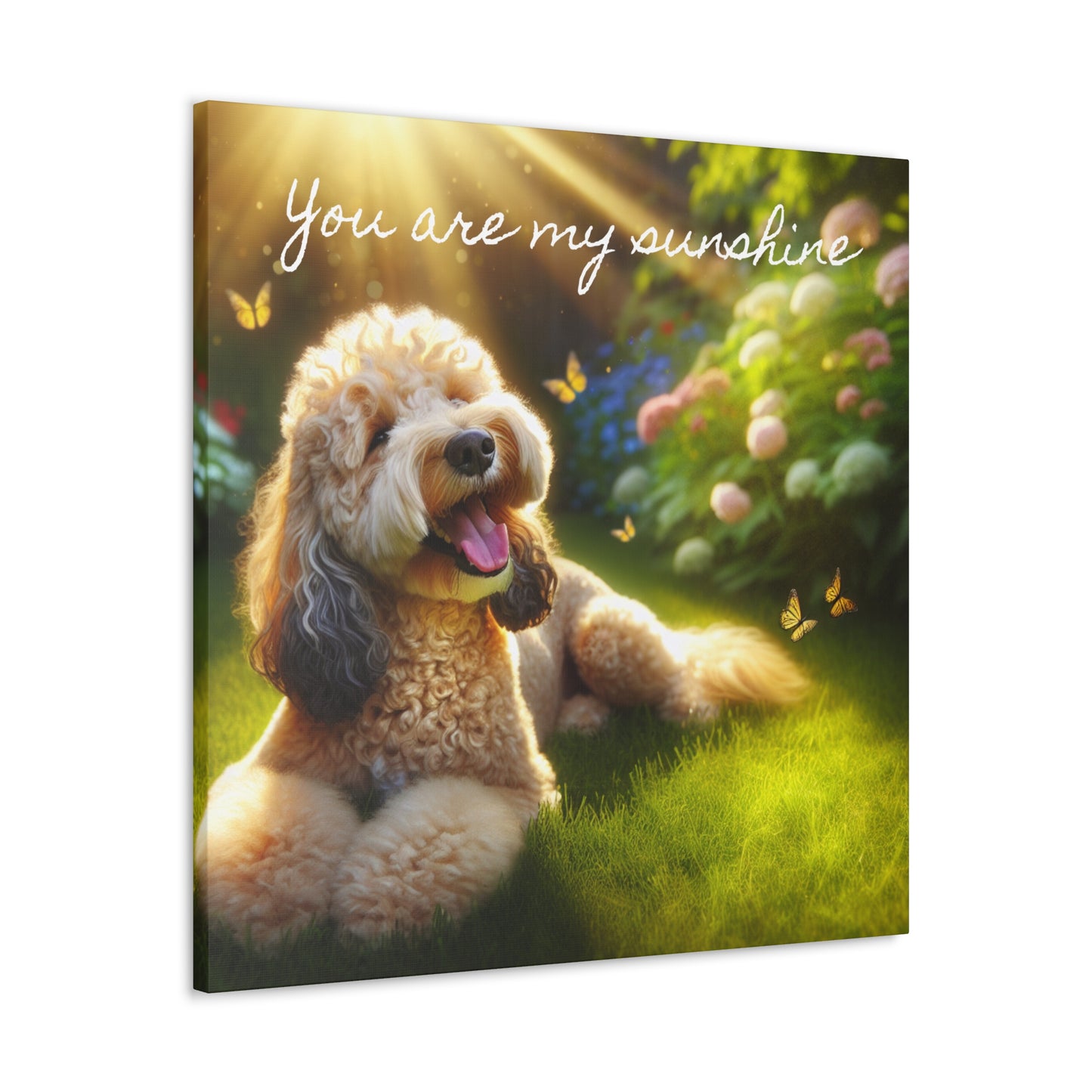 Canvas Print Groodle Dog 'You Are My Sunshine'